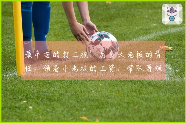 最辛苦的打工族！肩负大老板的责任，领着小老板的工资，带队晋级季后赛
