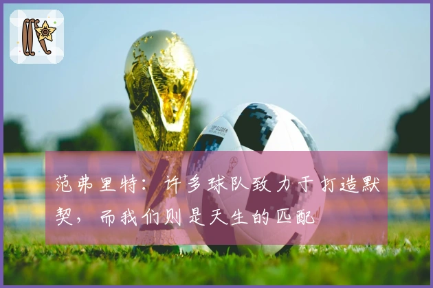 范弗里特：许多球队致力于打造默契，而我们则是天生的匹配